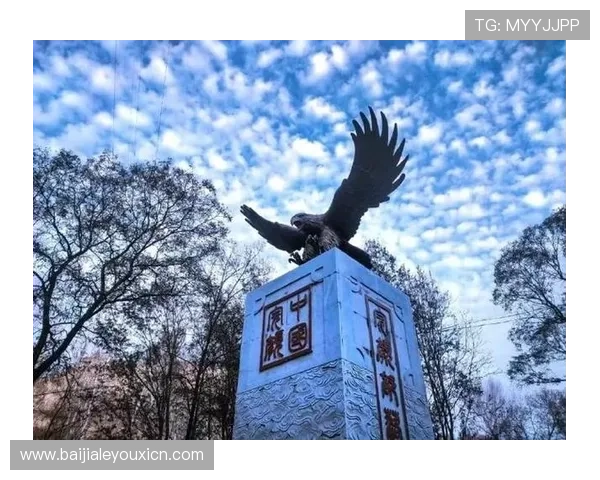 了解开云真人的起源地和发展历史，揭示其所属地区的行业背景和文化特色